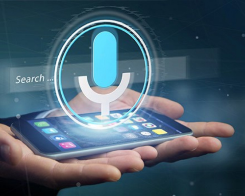 Voice Search Optimization Voice Search Optimization